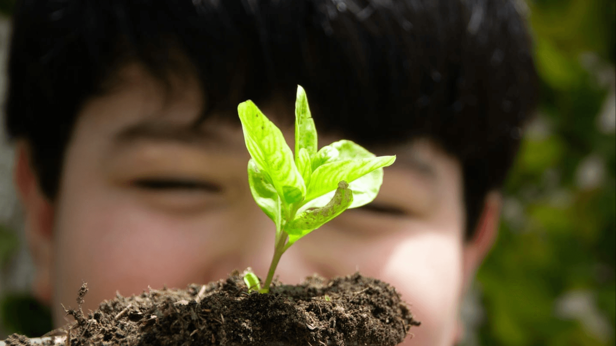 Incorporating Nature into Your Child’s Education: How My Garden Inspired My First Book